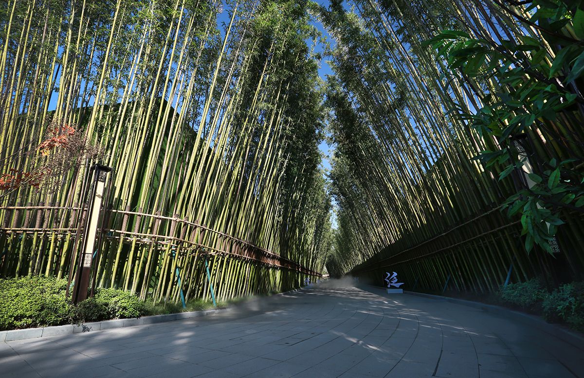 GW2-4-9地块（西安·泛悦城）项目示范区园林景观工程