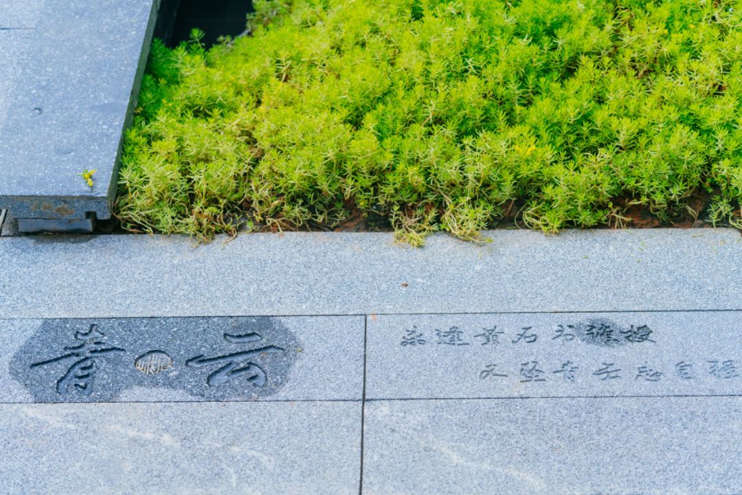 领地莲花湖