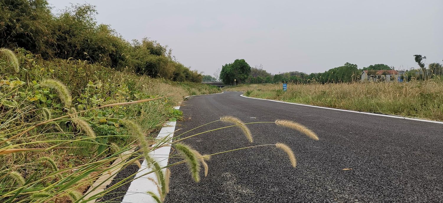 武汉市杜公湖国家湿地公园景观建设工程