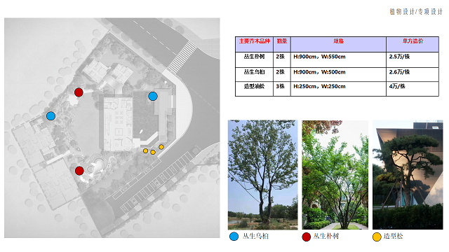 德化阳光城·隆恩丽景湾示范区