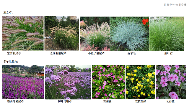 德化阳光城·隆恩丽景湾示范区
