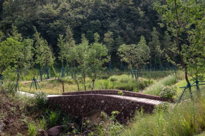 千岛鲁能胜地亚运生态公园（首开区）