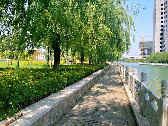 成安县城新区核心区4条路绿化设计
