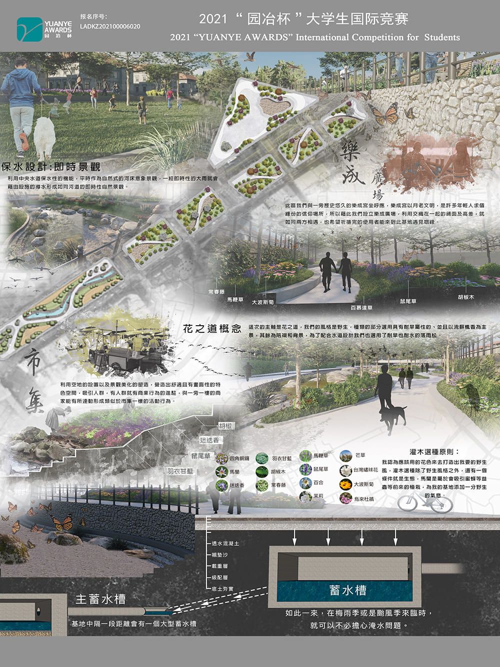 泊苒