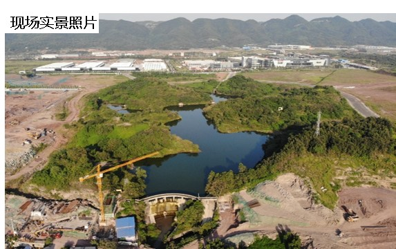 国际物流城五云湖周边生态修复工程（绿化工程）