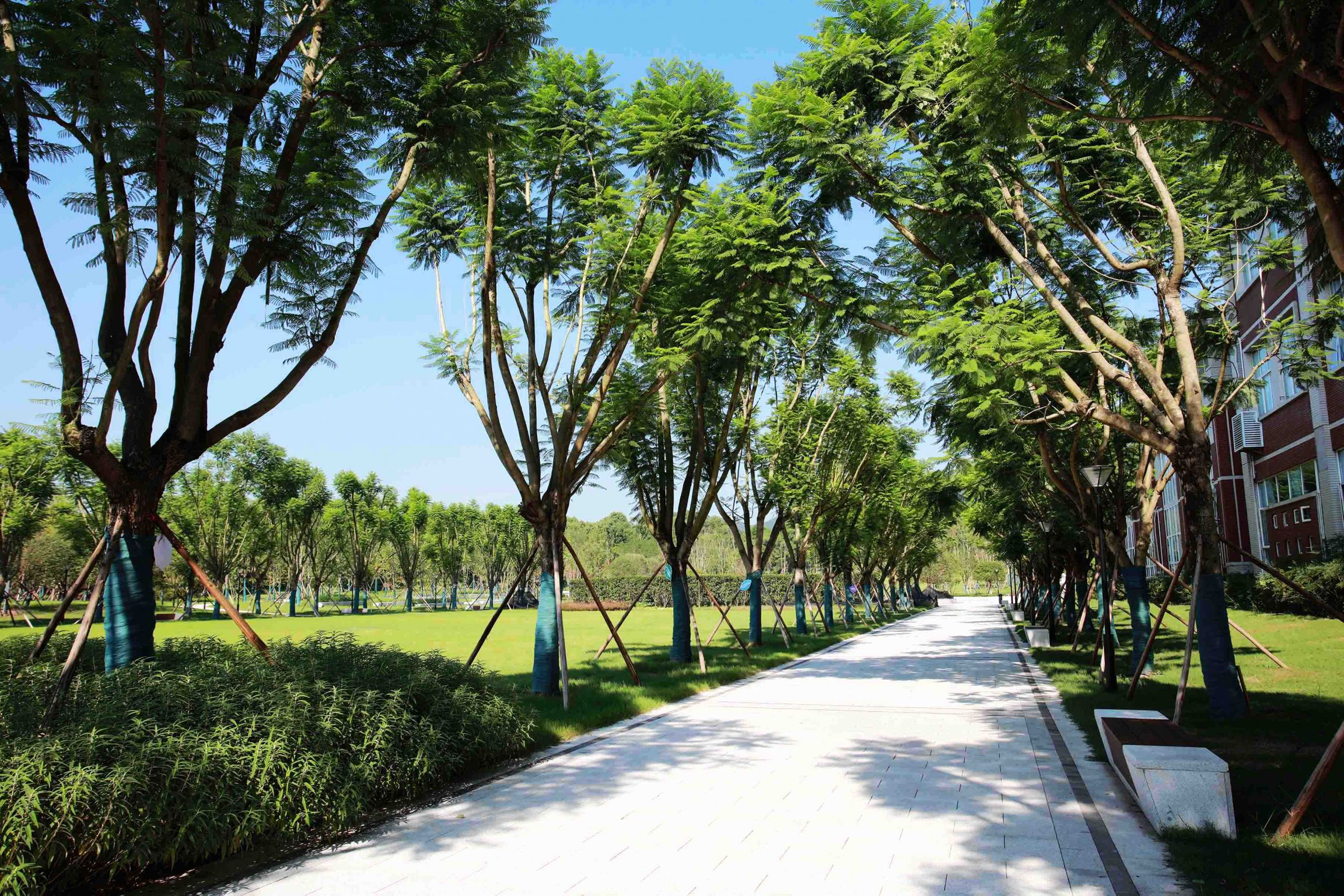 重庆医科大学缙云校区一期景观设计
