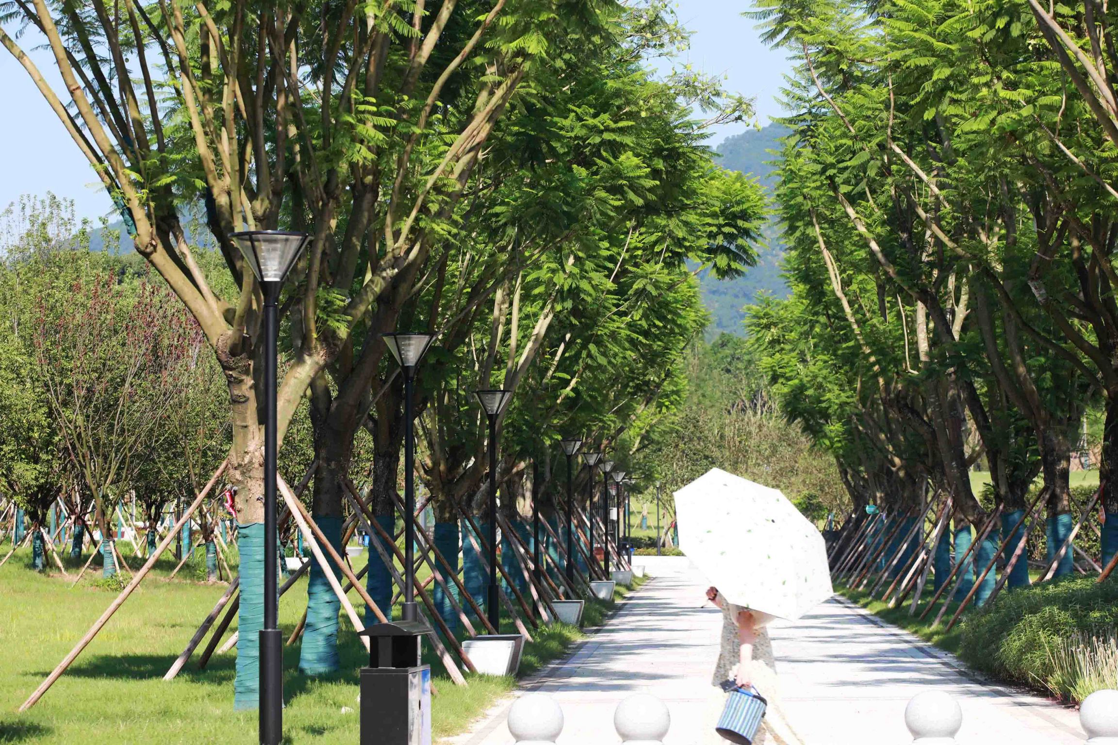 重庆医科大学缙云校区一期景观设计
