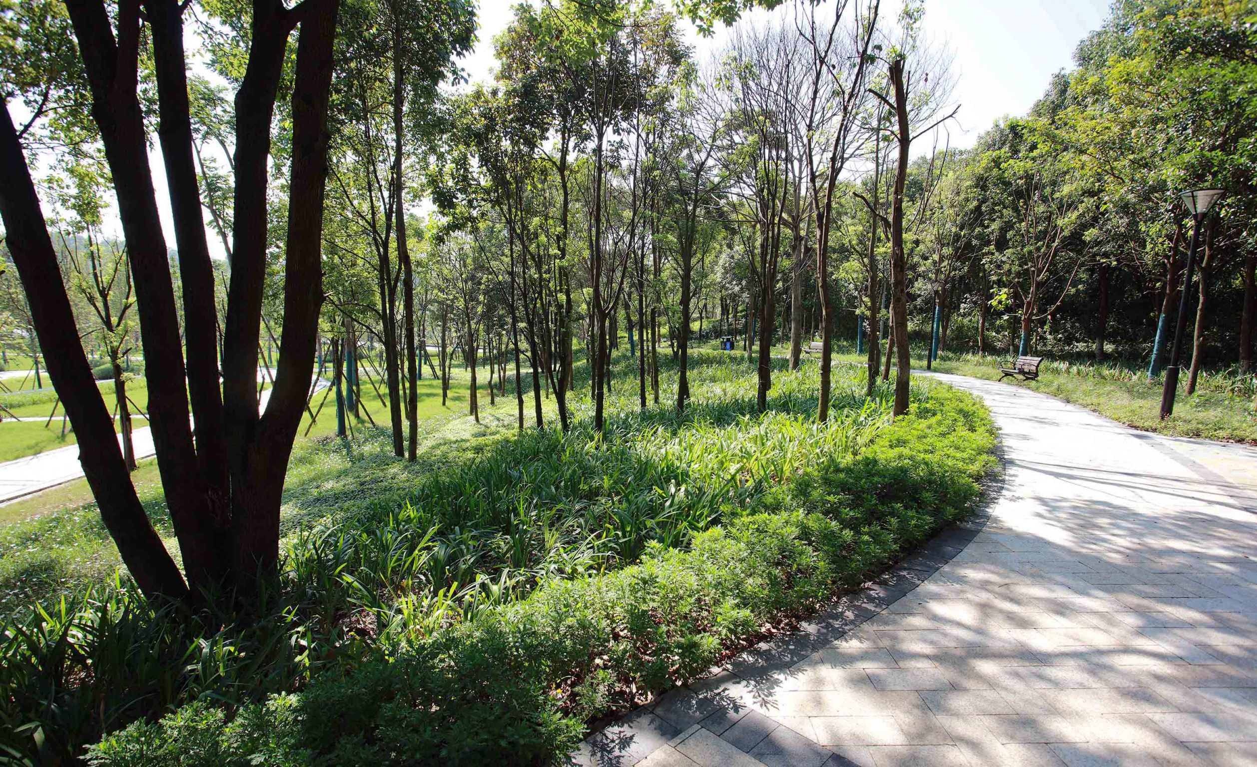 重庆医科大学缙云校区一期景观设计