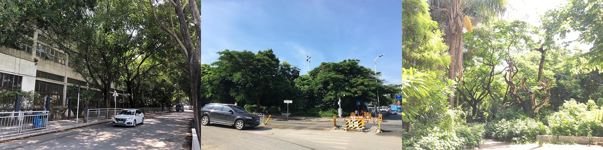 海谷科技大厦展示区景观设计