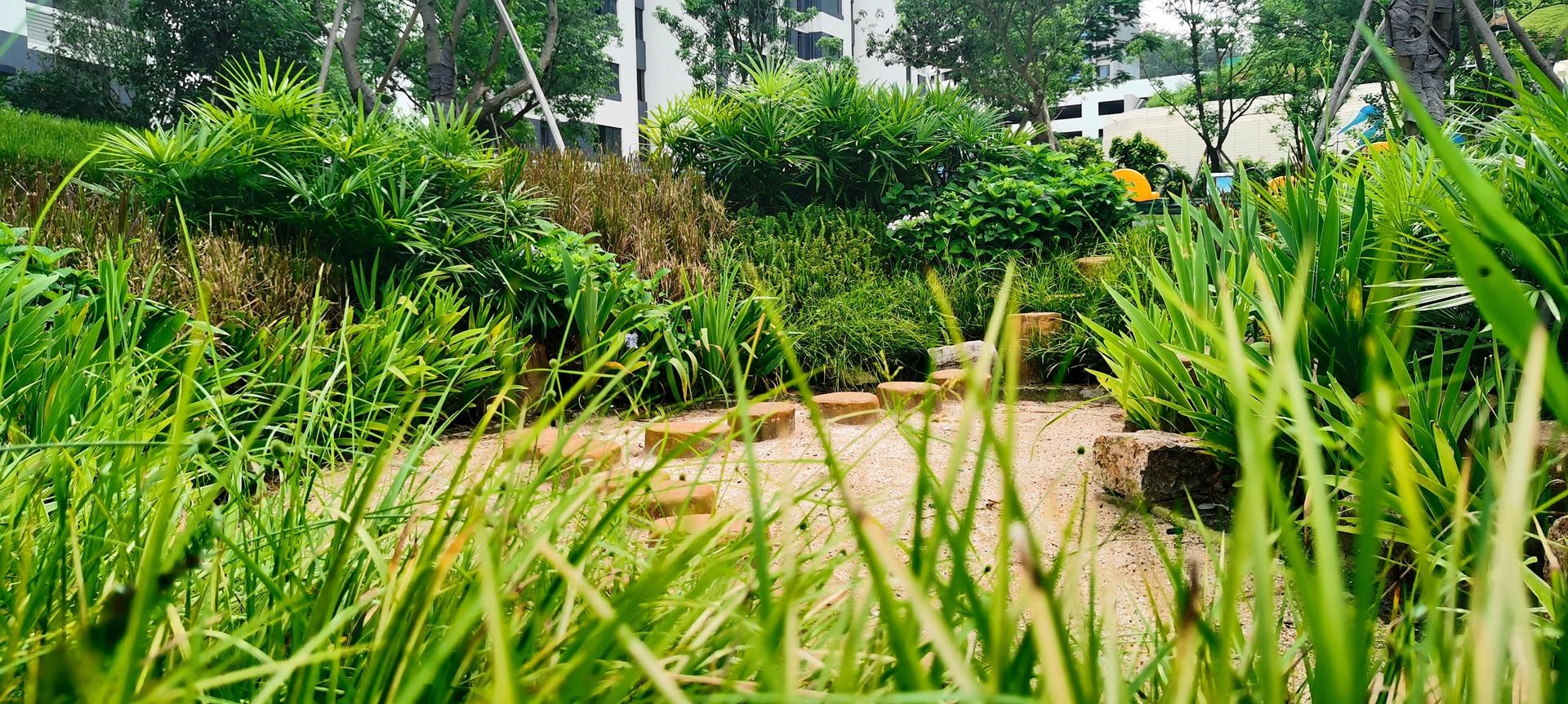 惠州碧桂园湖光山色