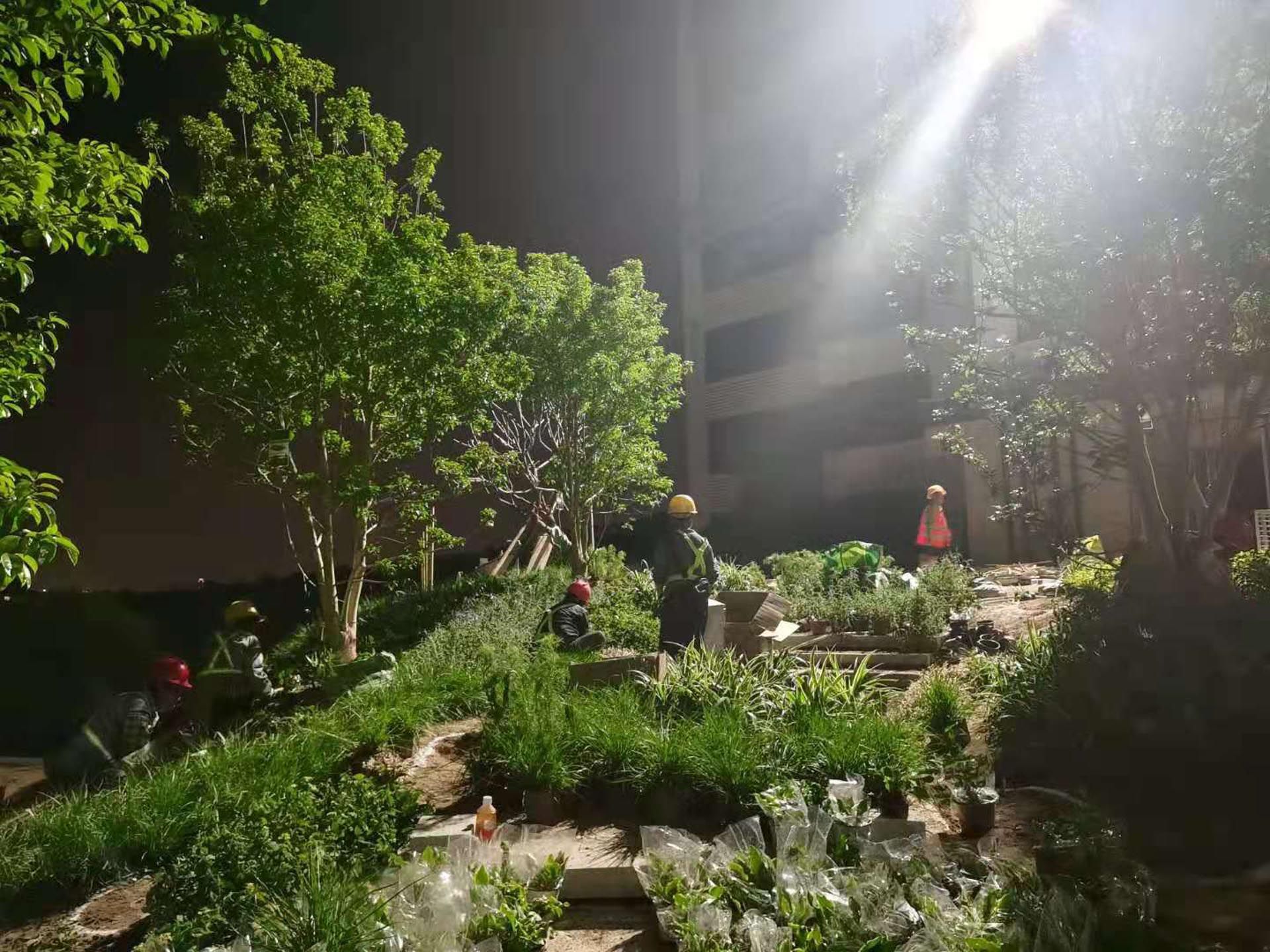 惠州碧桂园湖光山色