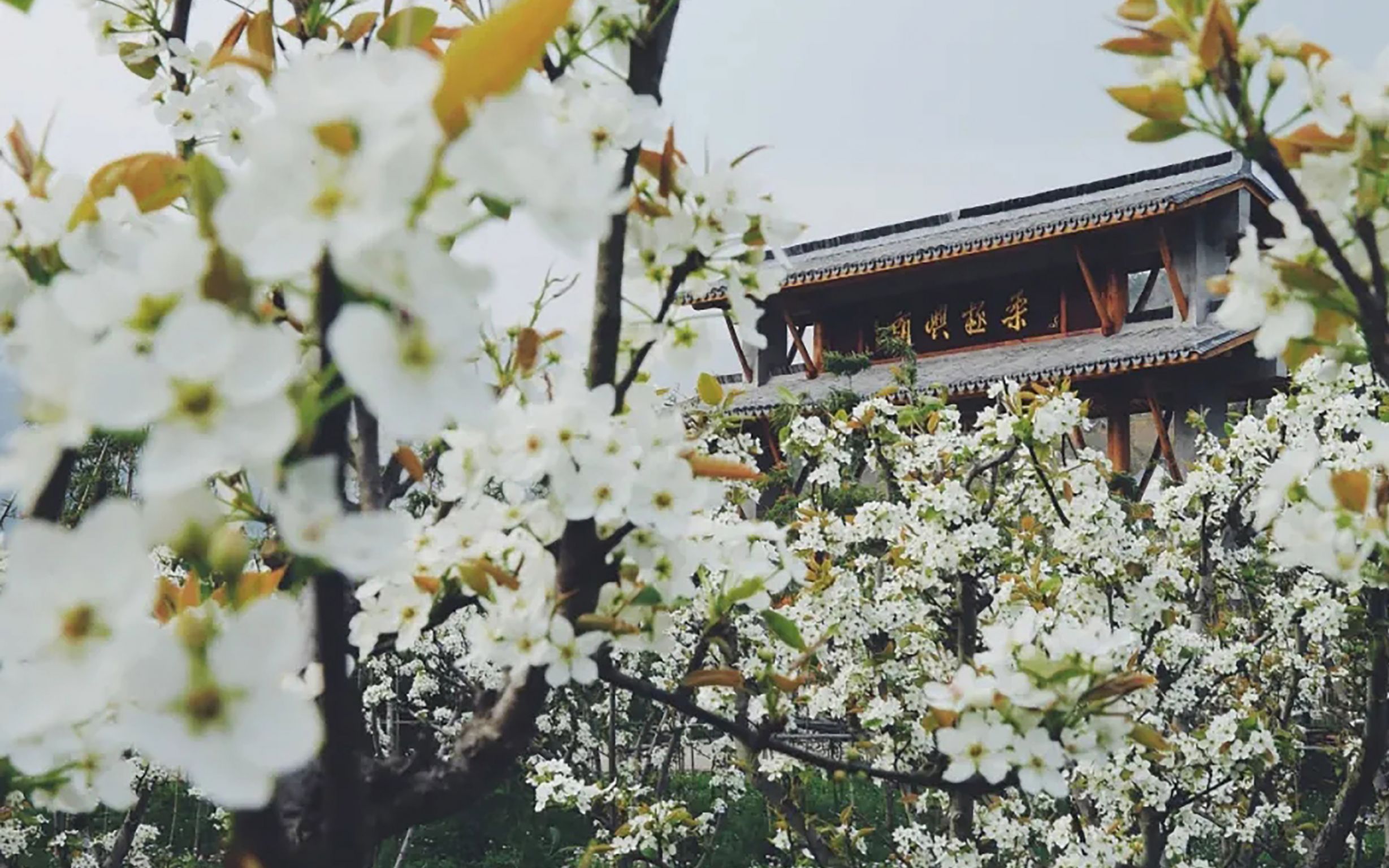 台州·黄岩交旅集团枕山酒店