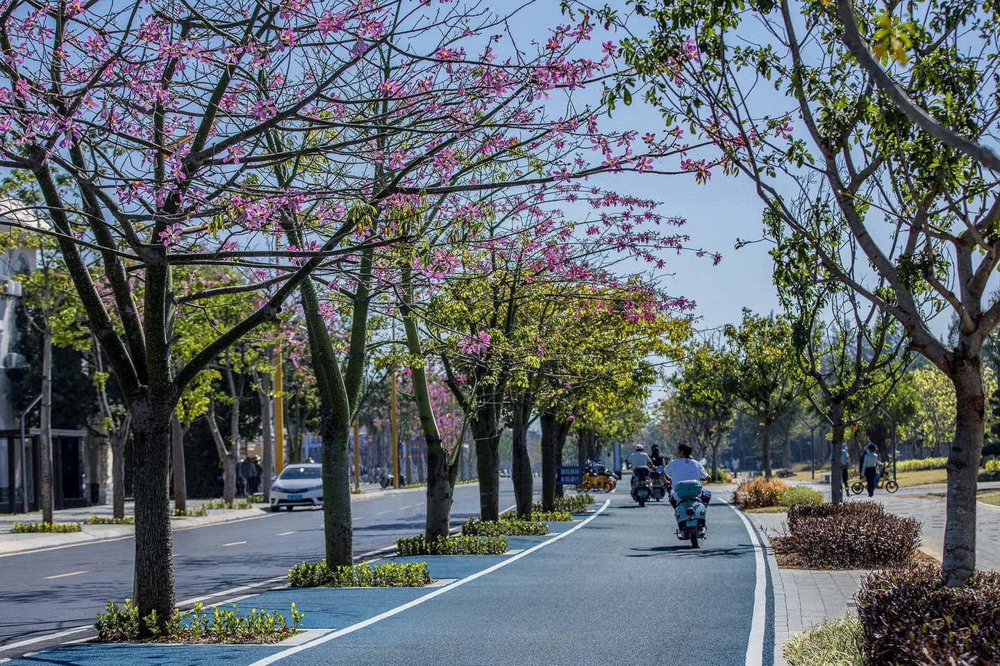 北海银滩四号路整治改造提升