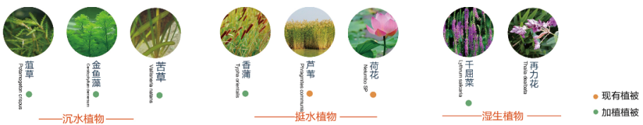 樟林激活计划与大井民宿建设——河富大井村扶贫记