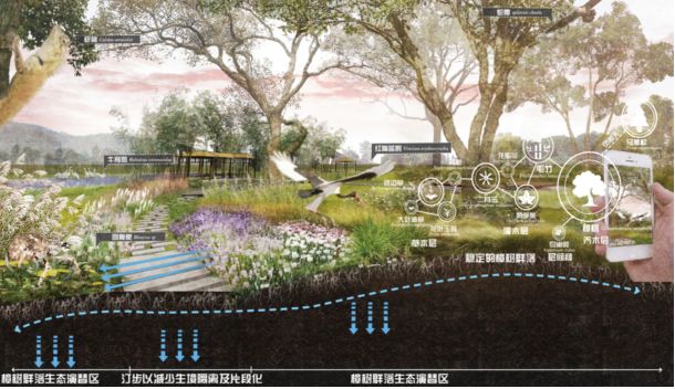 樟林激活计划与大井民宿建设——河富大井村扶贫记