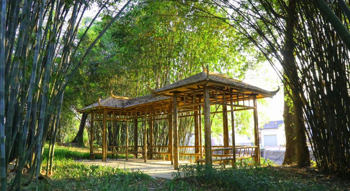 樟林激活计划与大井民宿建设——河富大井村扶贫记