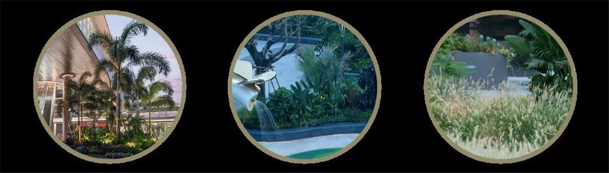 金茂 万科·都会四季