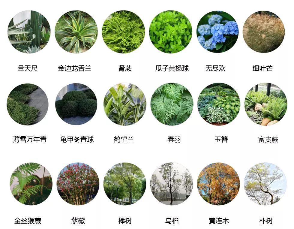 南通·美的云建