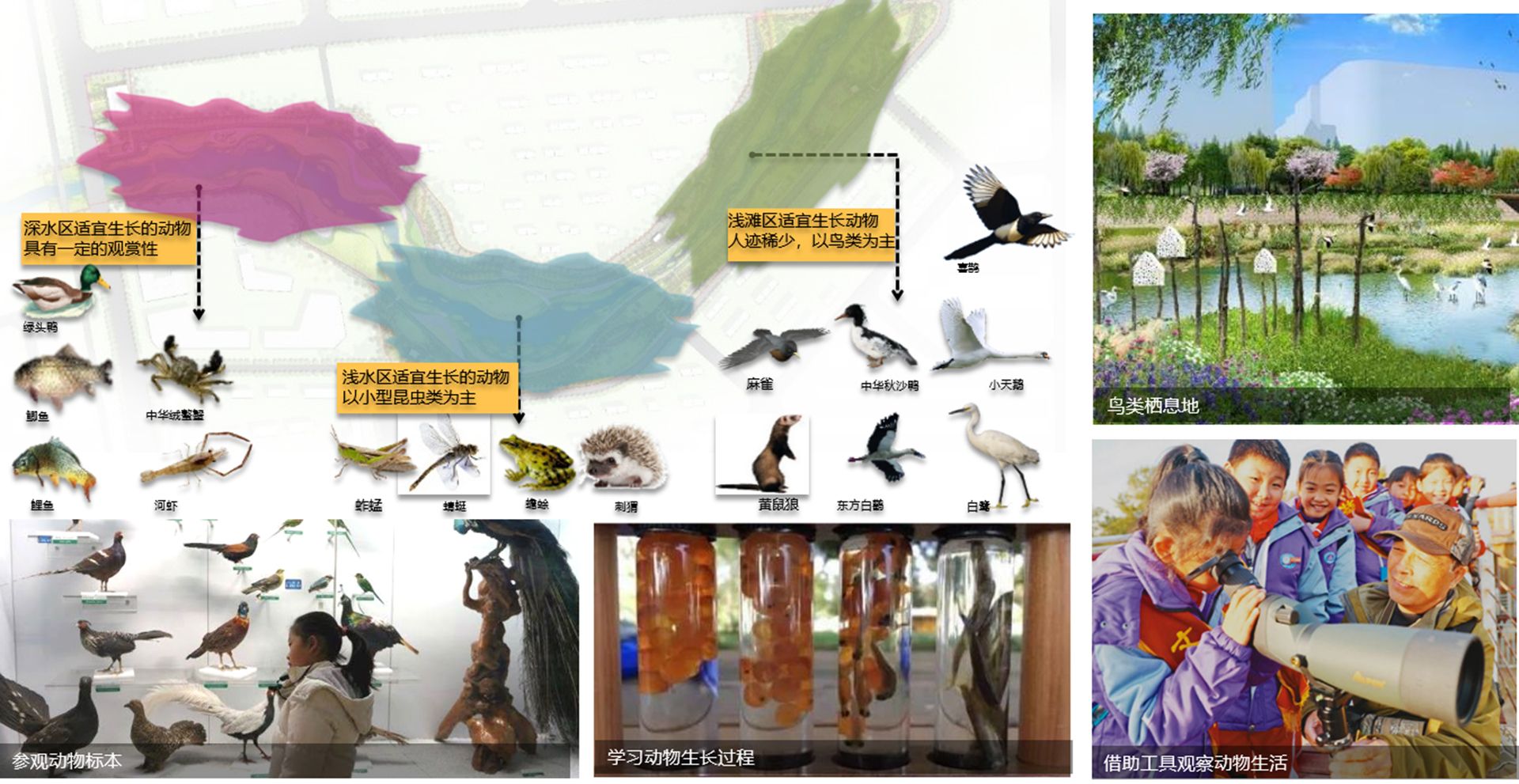 元氏县北沙河（京广铁路桥~使庄村段）生态综合整治项目