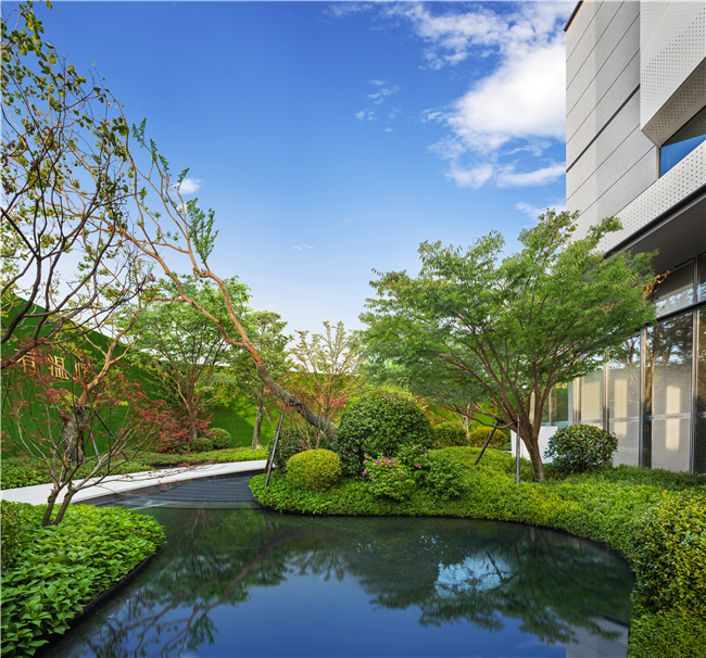 济南春来晓园项目城市展厅室外景观绿化工程
