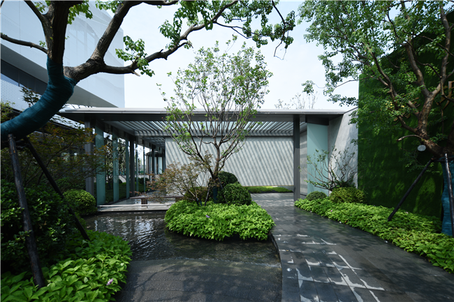 济南春来晓园项目城市展厅室外景观绿化工程