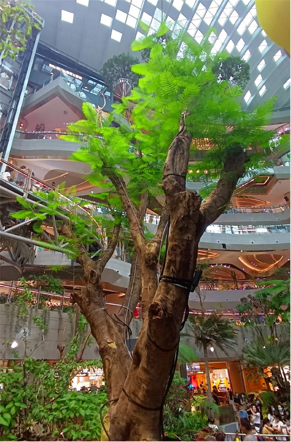 重庆光环购物公园室内沐光森林植物园