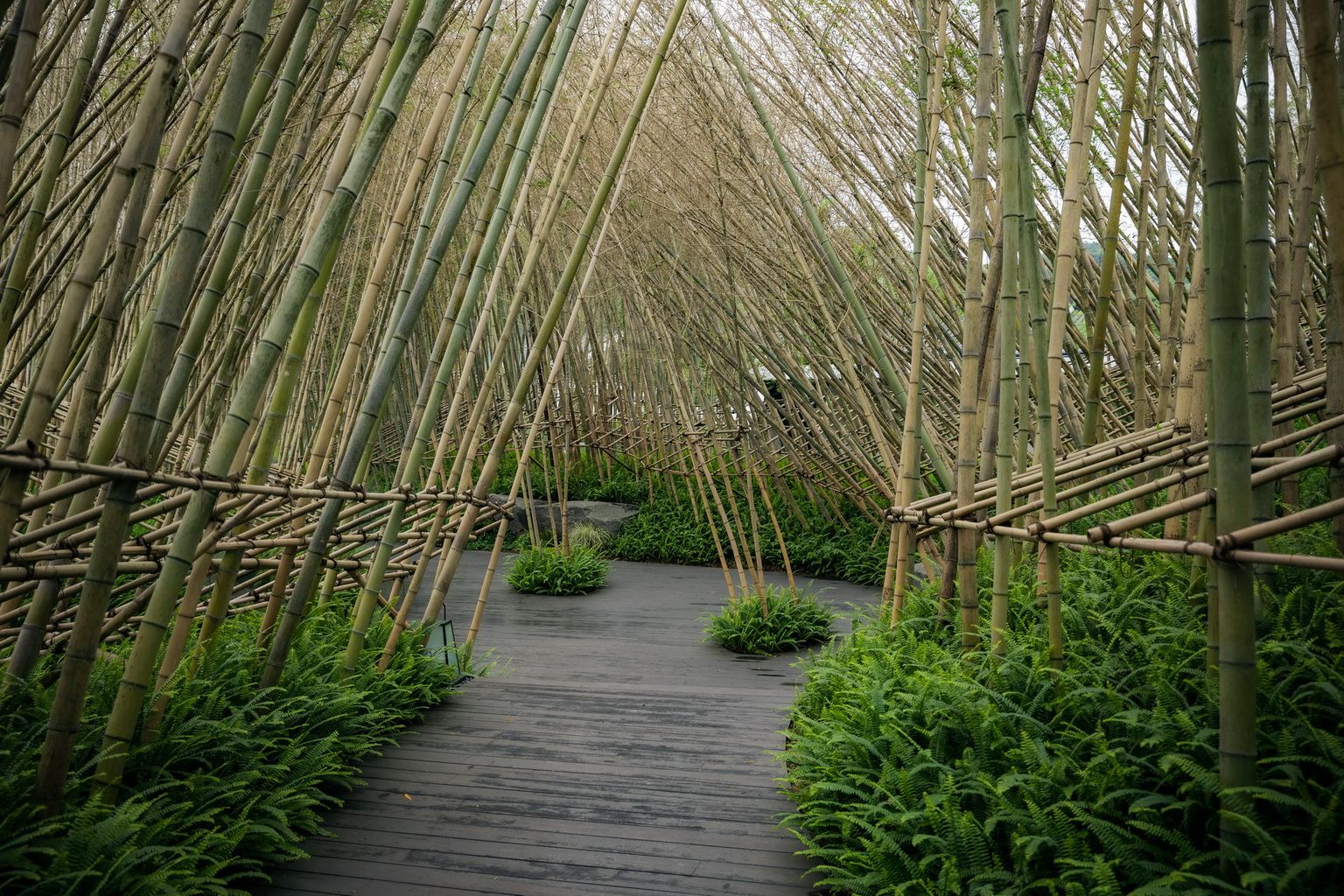 合景泰富·云上