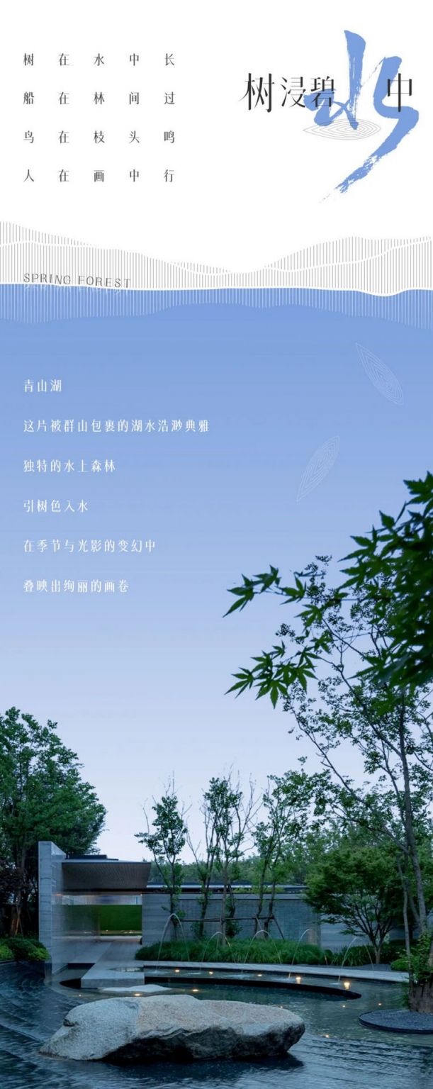 杭州大华春山椿树