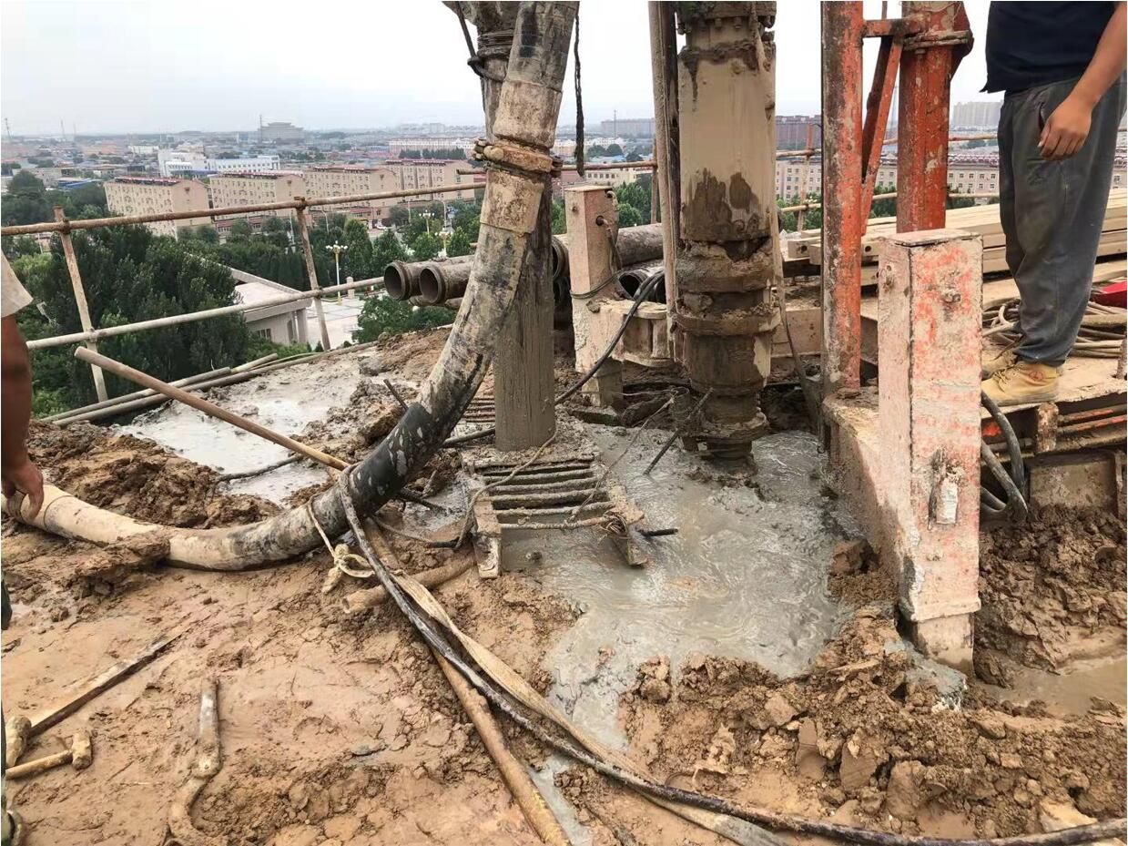 振堂公园改造扩建工程