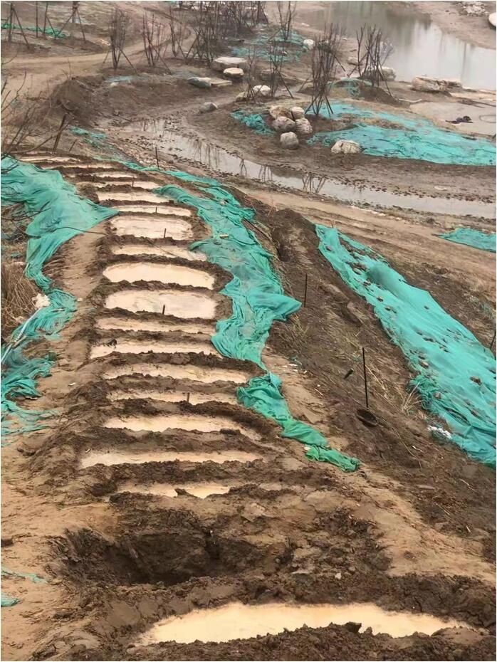 振堂公园改造扩建工程