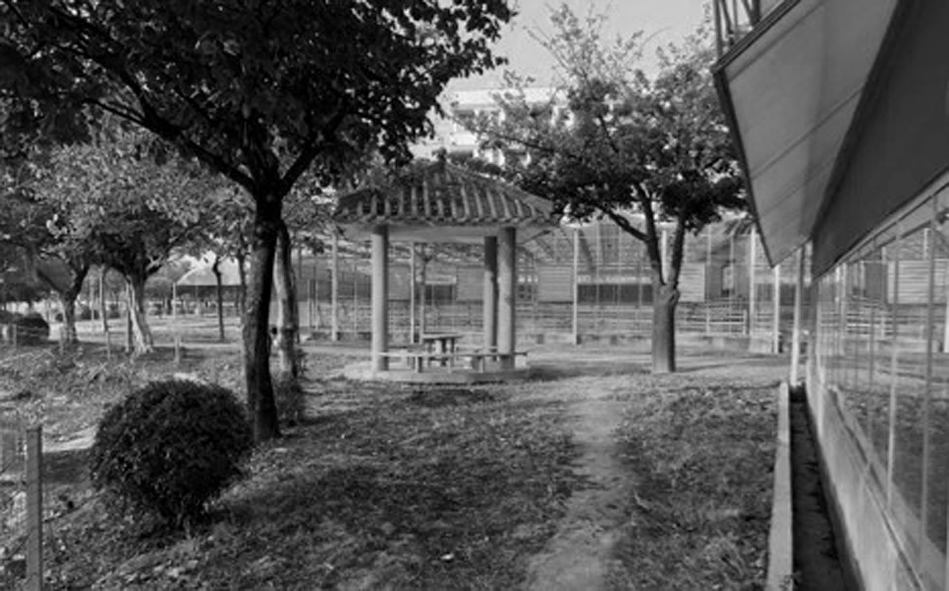 广州花都宝桑园
