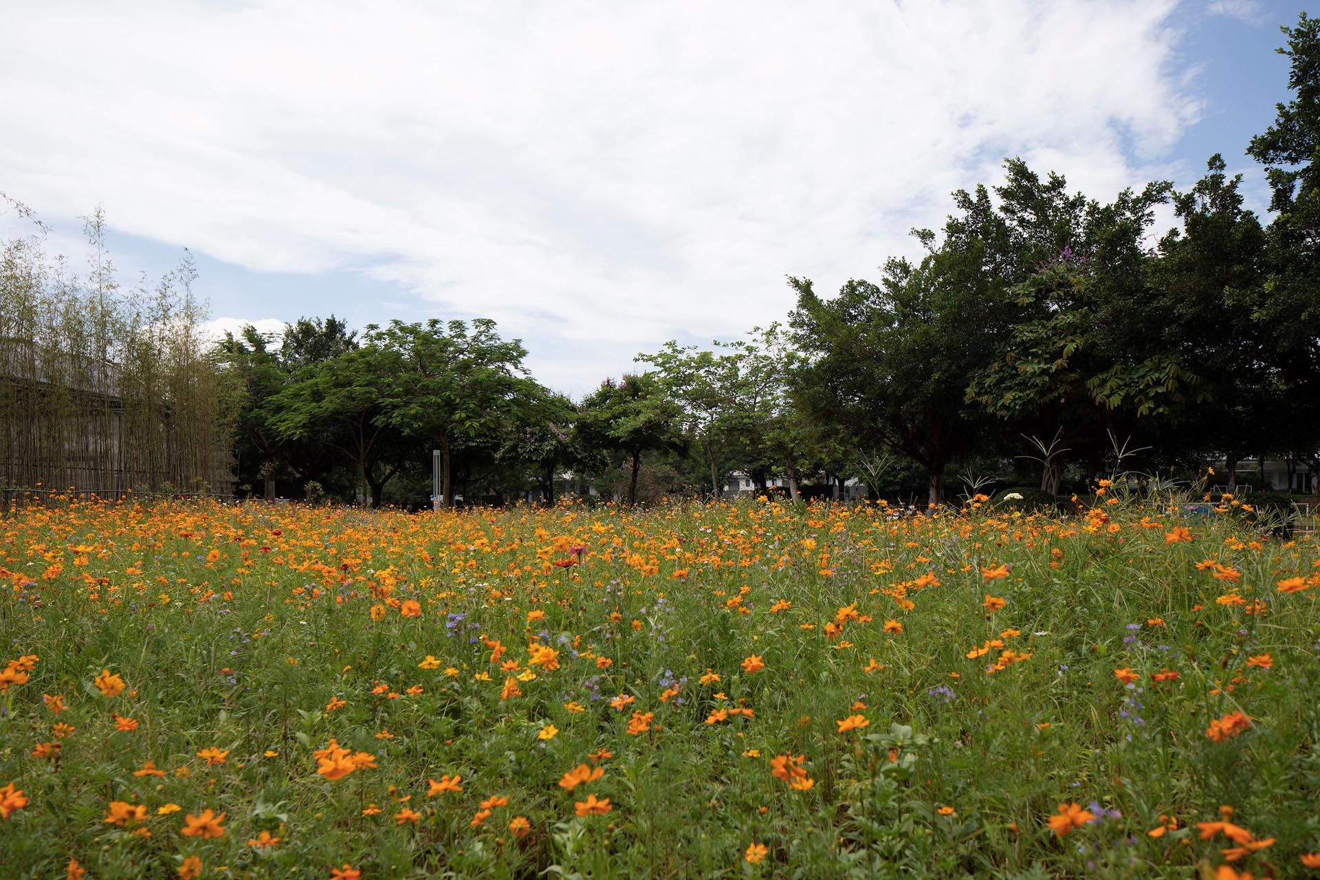 广州花都宝桑园