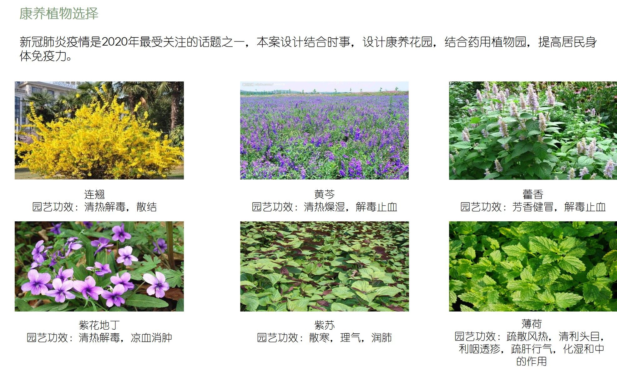 北京西北旺瑞泽家园景观设计