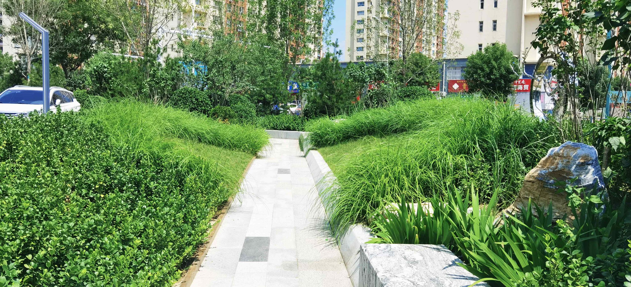 河间市信用社游园工程