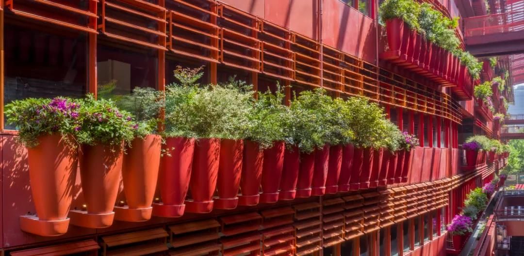 上海恒基旭辉天地绿植墙种植设计