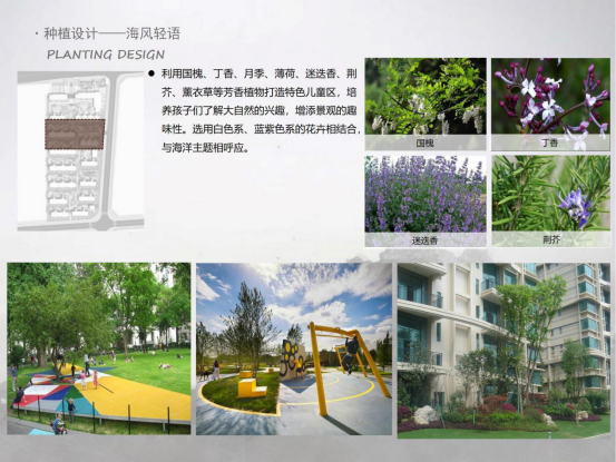 大连保利堂悦2号地项目园林景观工程