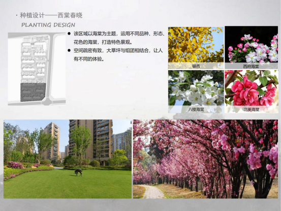 大连保利堂悦2号地项目园林景观工程