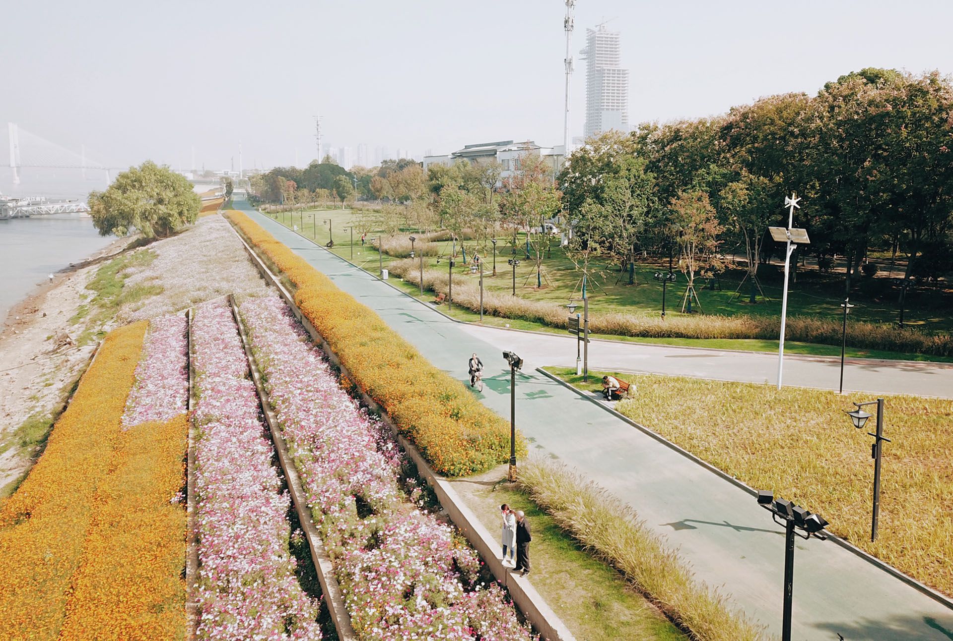 长江主轴—长江左右岸江滩观光道路及景观综合提升工程