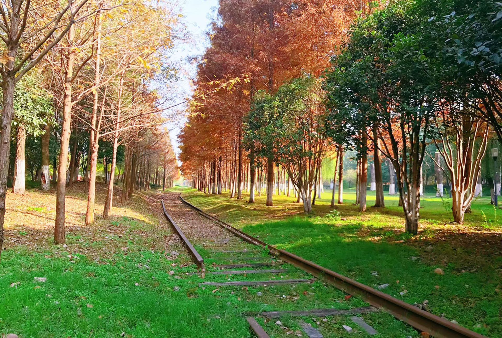 长江主轴—长江左右岸江滩观光道路及景观综合提升工程