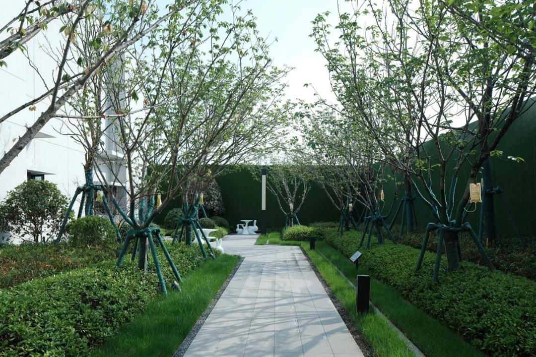中梁 • 信宇拾光印