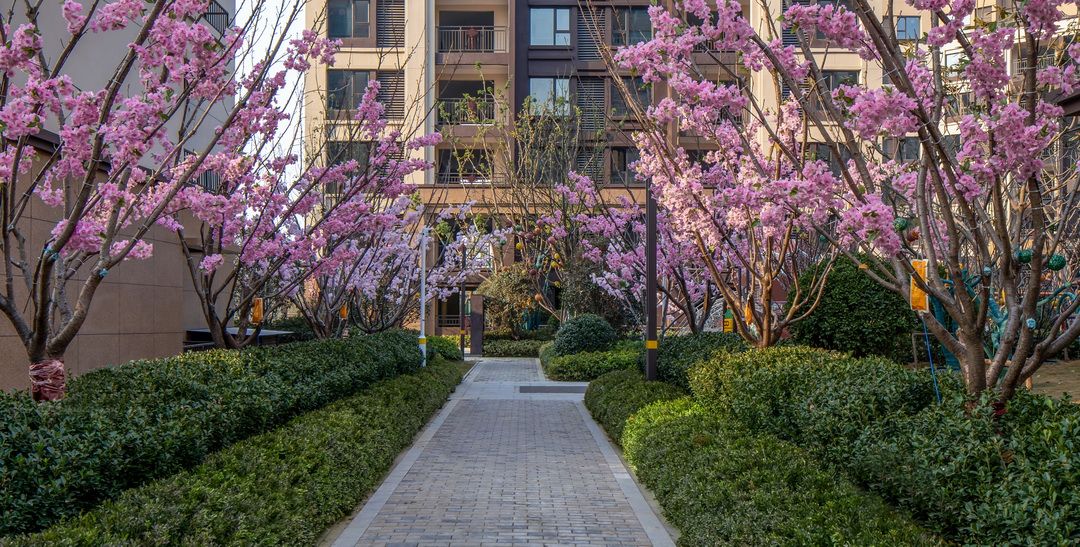 南阳邓州建业公园里
