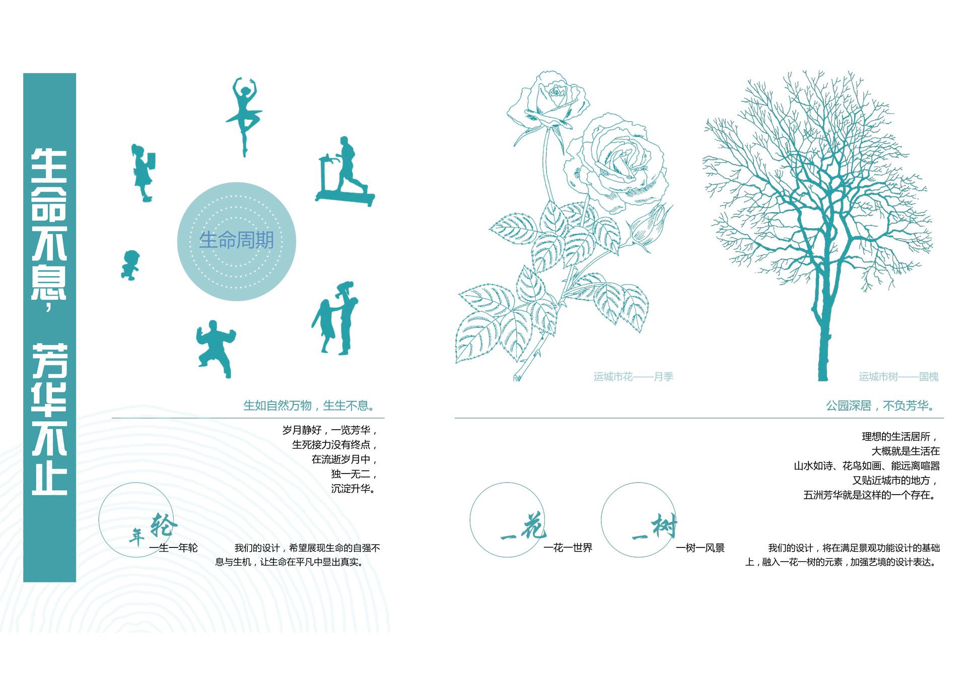 五洲芳华