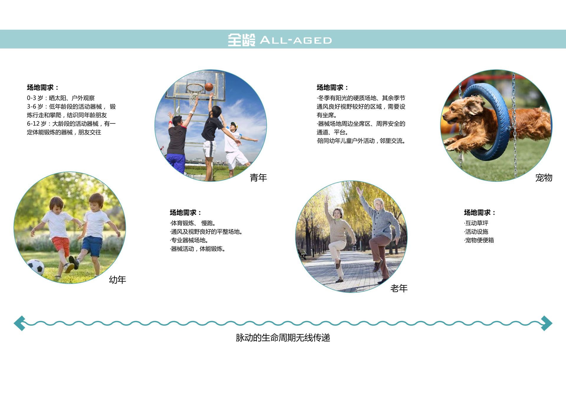 五洲芳华