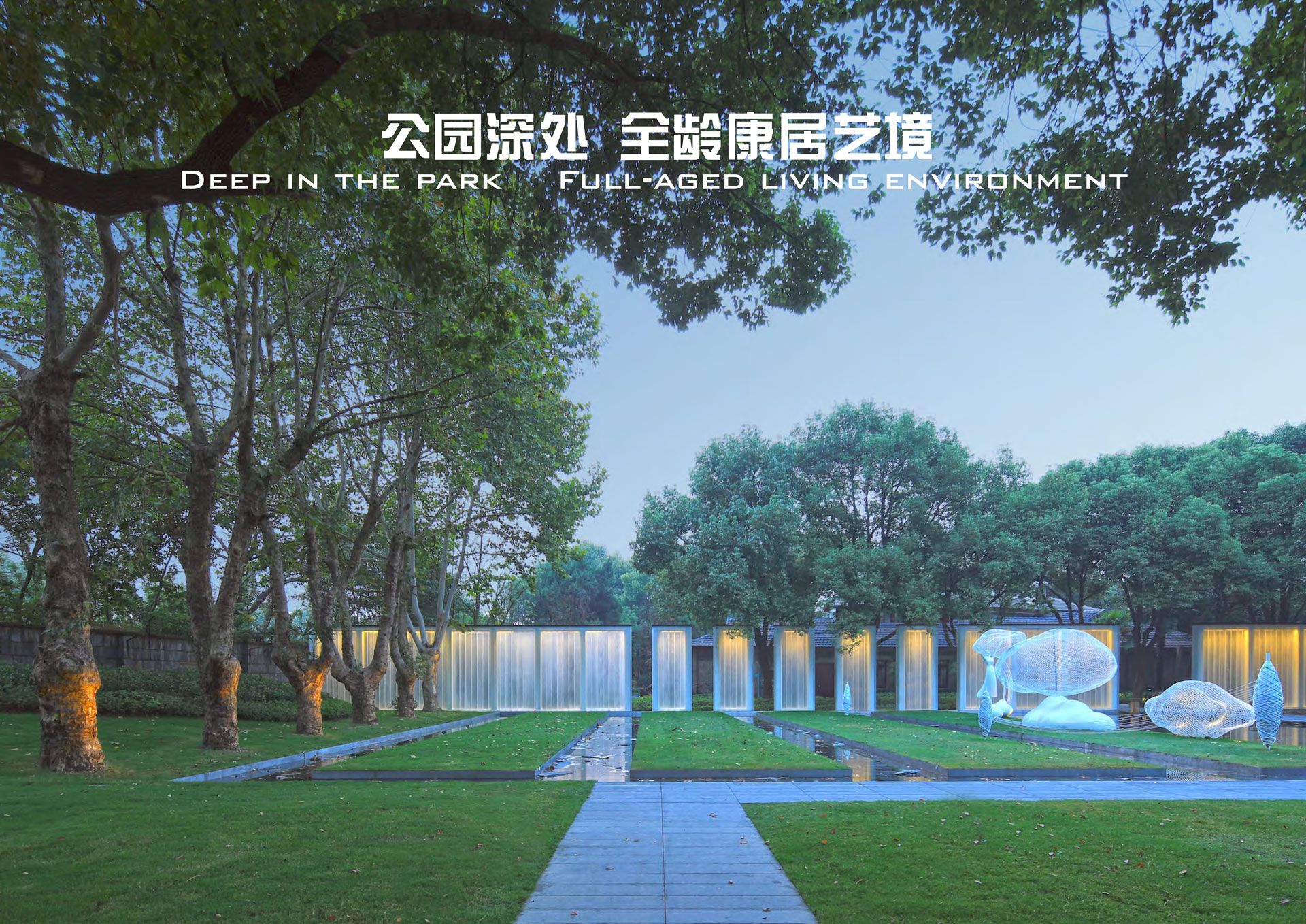 五洲芳华