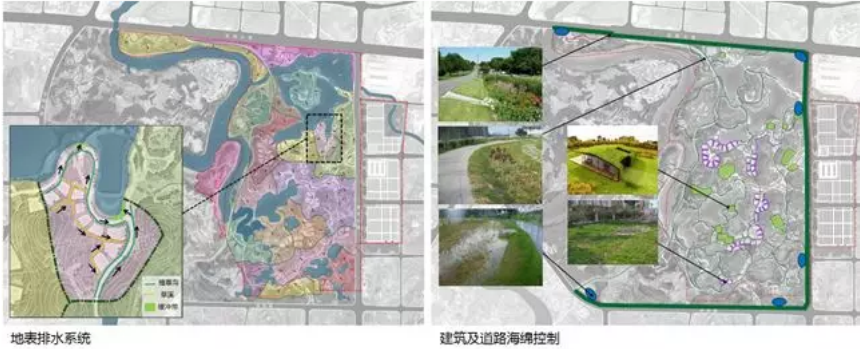 第十二届中国（南宁）国际园林博览会园博园