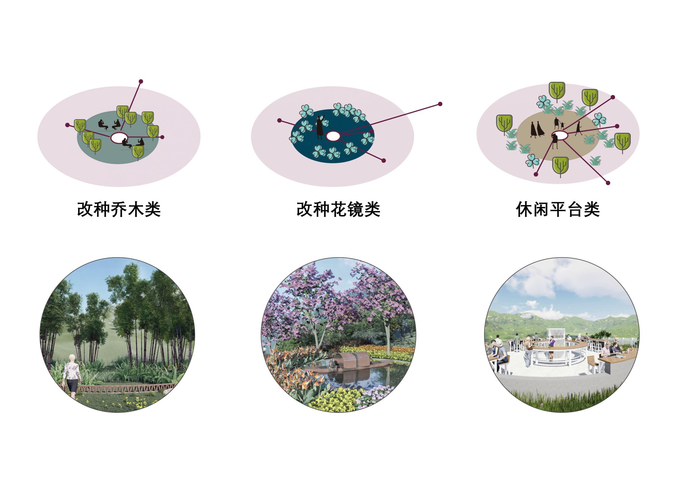 淮州云顶牧场