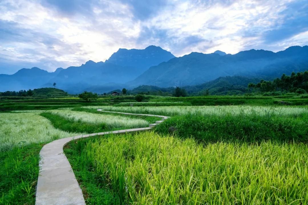 峨眉·高桥小镇