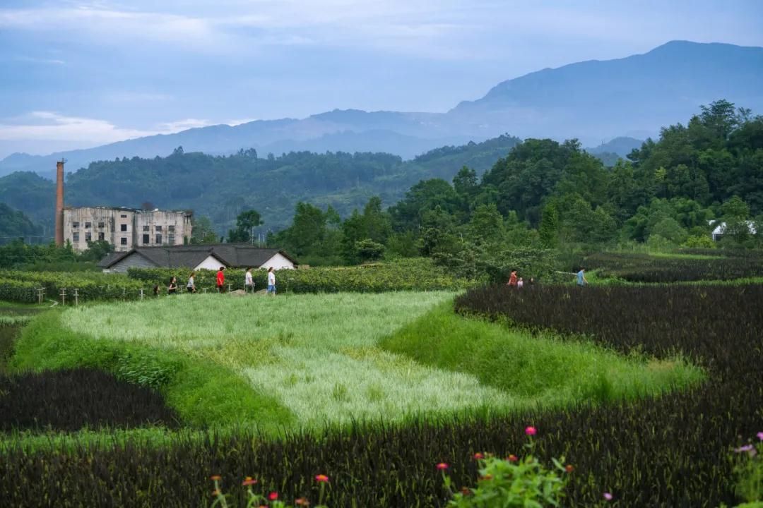 峨眉·高桥小镇