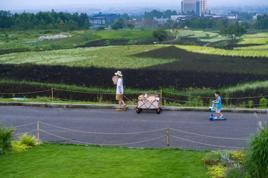 峨眉·高桥小镇