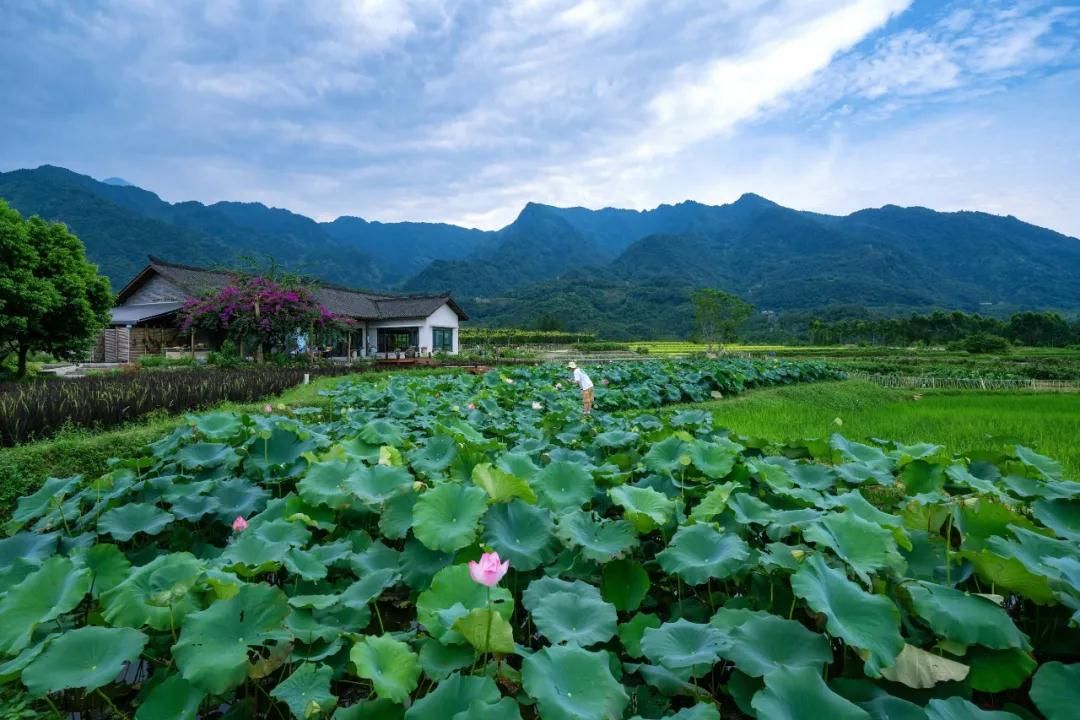 峨眉·高桥小镇
